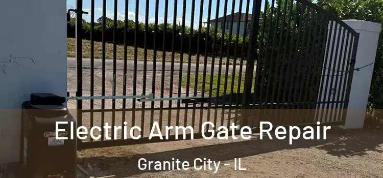  Electric Arm Gate Repair Granite City - IL